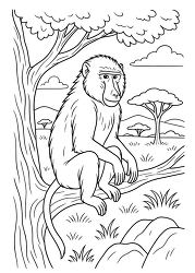 Babbon sits in a tree in the savanna in Kenya africa coloring pa