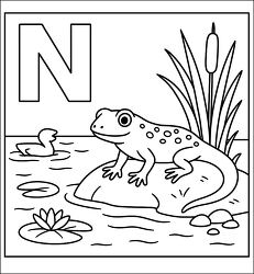 letter n newt in pond coloring page
