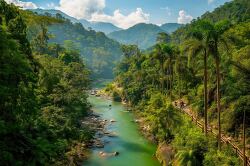 Lush River Winding Through Verdant Hills in Serene Landscape