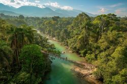 Serene Bridge Crossing Over a Lush Jungle River at Dawn